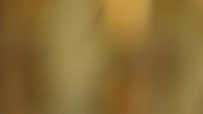 Los precios del vino de mesa han aumentado casi 20% en los últimos 25 años y un 8% en la última década.