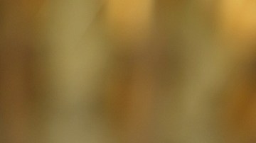 Los precios del vino de mesa han aumentado casi 20% en los últimos 25 años y un 8% en la última década.