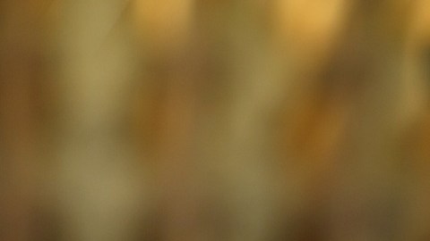 Los precios del vino de mesa han aumentado casi 20% en los últimos 25 años y un 8% en la última década.