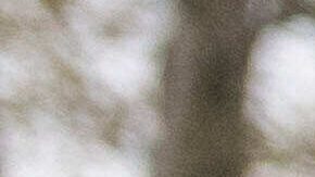 Luis Ortiz, jugador de los Cleveland Guardians, sale del tribunal federal de Brooklyn el miércoles 12 de noviembre de 2025 en Nueva York.