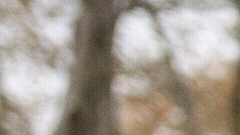 Luis Ortiz, jugador de los Cleveland Guardians, sale del tribunal federal de Brooklyn el miércoles 12 de noviembre de 2025 en Nueva York.