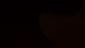 Este otoño la ciudad está llena de muchas noches de circo con espectáculos para toda la familia.