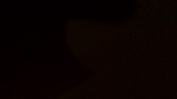 Este otoño la ciudad está llena de muchas noches de circo con espectáculos para toda la familia.