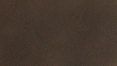 Madonna aplaudió el nuevo trabajo de Rosalía.