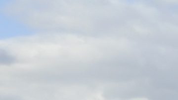 Grupo de competidores cruza el Puente Pulaski durante el Maratón de Nueva York.