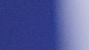 Marco Antonio Solís también le pidió una foto a Bad Bunny.