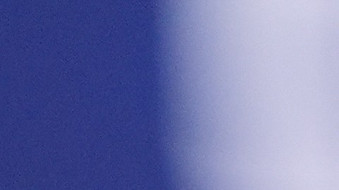 Marco Antonio Solís también le pidió una foto a Bad Bunny.