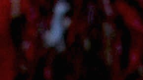 Maribel Guardia y Julián Figueroa en 2014.