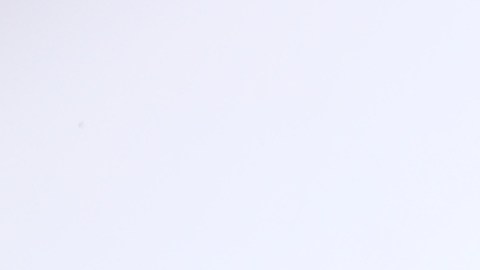 Maripily Rivera, actriz puertorriqueña.