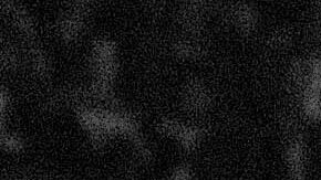 New Jersey Nets; Michael Ray Richardson (20).