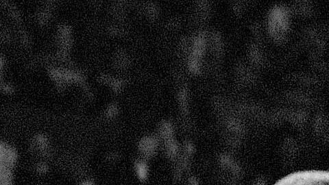 New Jersey Nets; Michael Ray Richardson (20).