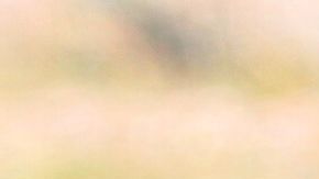 Las migrantes embarazadas no reciben atención médica en los centros de detención de ICE.