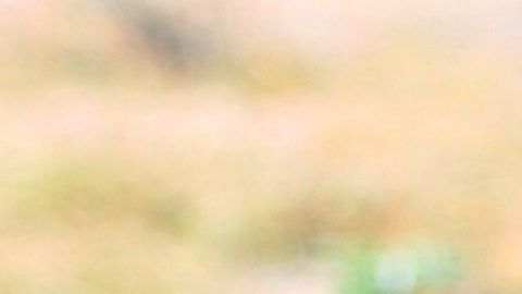 Las migrantes embarazadas no reciben atención médica en los centros de detención de ICE.