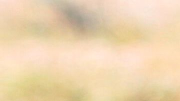 Las migrantes embarazadas no reciben atención médica en los centros de detención de ICE.