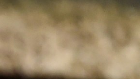 Mira Nair, madre de Zohran Mamdani.