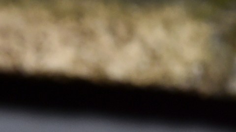 Mira Nair, madre de Zohran Mamdani.