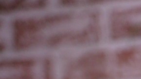 La sucesora de Victoria Kjaer Theilvig, Miss Universe 2024, será elegida esta semana.