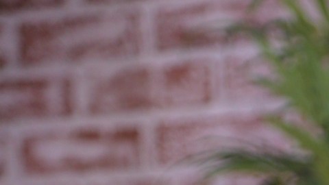 La sucesora de Victoria Kjaer Theilvig, Miss Universe 2024, será elegida esta semana.