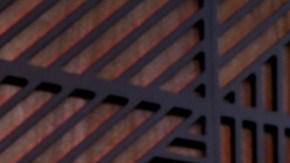 Victoria Kjaer Theilvig, Miss Universe 2024.