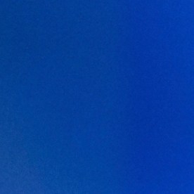 Sharon Fonseca habló de las denuncias que hay contra el Miss Universo por el triunfo de Fátima Bosch.