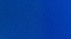 Sharon Fonseca habló de las denuncias que hay contra el Miss Universo por el triunfo de Fátima Bosch.