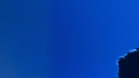 Sharon Fonseca habló de las denuncias que hay contra el Miss Universo por el triunfo de Fátima Bosch.