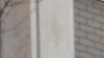 Autobús escolar NYC