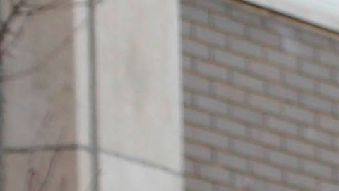 Autobús escolar NYC