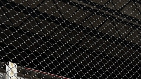 Denuncian presunta colaboración del NYPD con ICE durante protesta en Chinatown