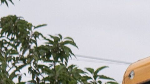 Algunos de los niños tenía circular amarillo de Interpol.