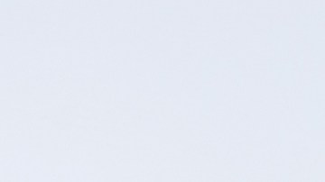 Conoce las mejores ofertas por el Día de los Veteranos.