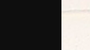 Abogados afirman que fue el hermano de Tremane Wood quien protagonizó el crimen.