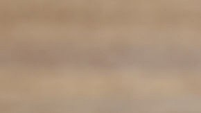 Las ollas y utensilios están fabricados con una aleación de aluminio, que puede filtrar plomo a los alimentos.