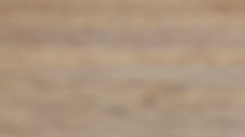 Las ollas y utensilios están fabricados con una aleación de aluminio, que puede filtrar plomo a los alimentos.