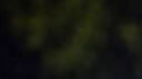 Un operativo de 10 días casi duplicó el número de arrestos del que se ejecutó hace unos meses.