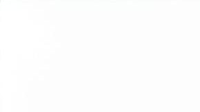 Las nuevas galletas solo están a la venta solo online y como edición limitada de 12 unidades con estos sabores de la cena de Acción de Gracias.