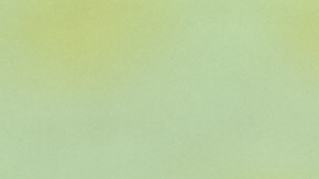 Jugadores panameños celebran en el Mundial Sub-20 de la FIFA. Imagen referencial.