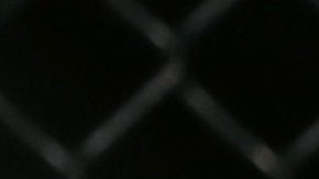 Darren Elkins, a la derecha, pelea contra Godofredo Pepey, de Brasil.