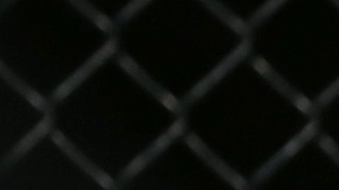 Darren Elkins, a la derecha, pelea contra Godofredo Pepey, de Brasil.