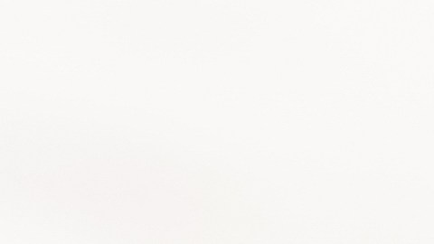 Los panecillos se distribuyeron en establecimientos asiáticos en 36 estados de Estados Unidos.