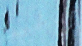 Los helados se distribuyeron a supermercados de todo el país.