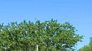 La Operación Guardian que se llevó a cabo el 28 y 29 de octubre.