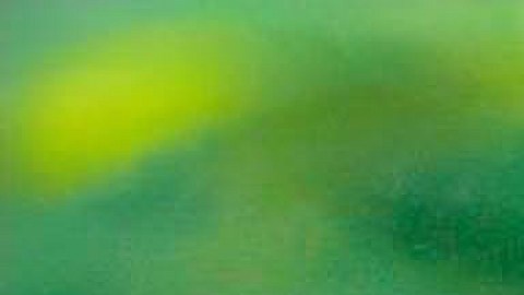 El plátano es un aliado para combatir la inflamación y la rigidez en las articulaciones.