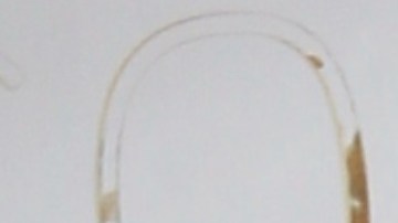 Pollito Tropical abandona La Casa de Alofoke.