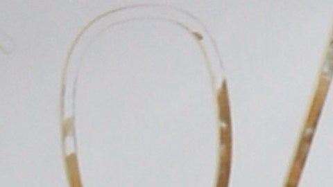 Pollito Tropical abandona La Casa de Alofoke.