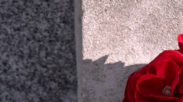 Sospechoso del tiroteo en Washington será acusado de asesinato en primer grado