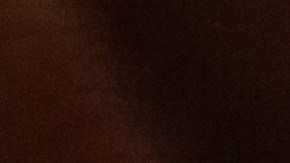 Hay varios tipos de queso mozzarella, el de baja humedad es ideal para las pizzas.