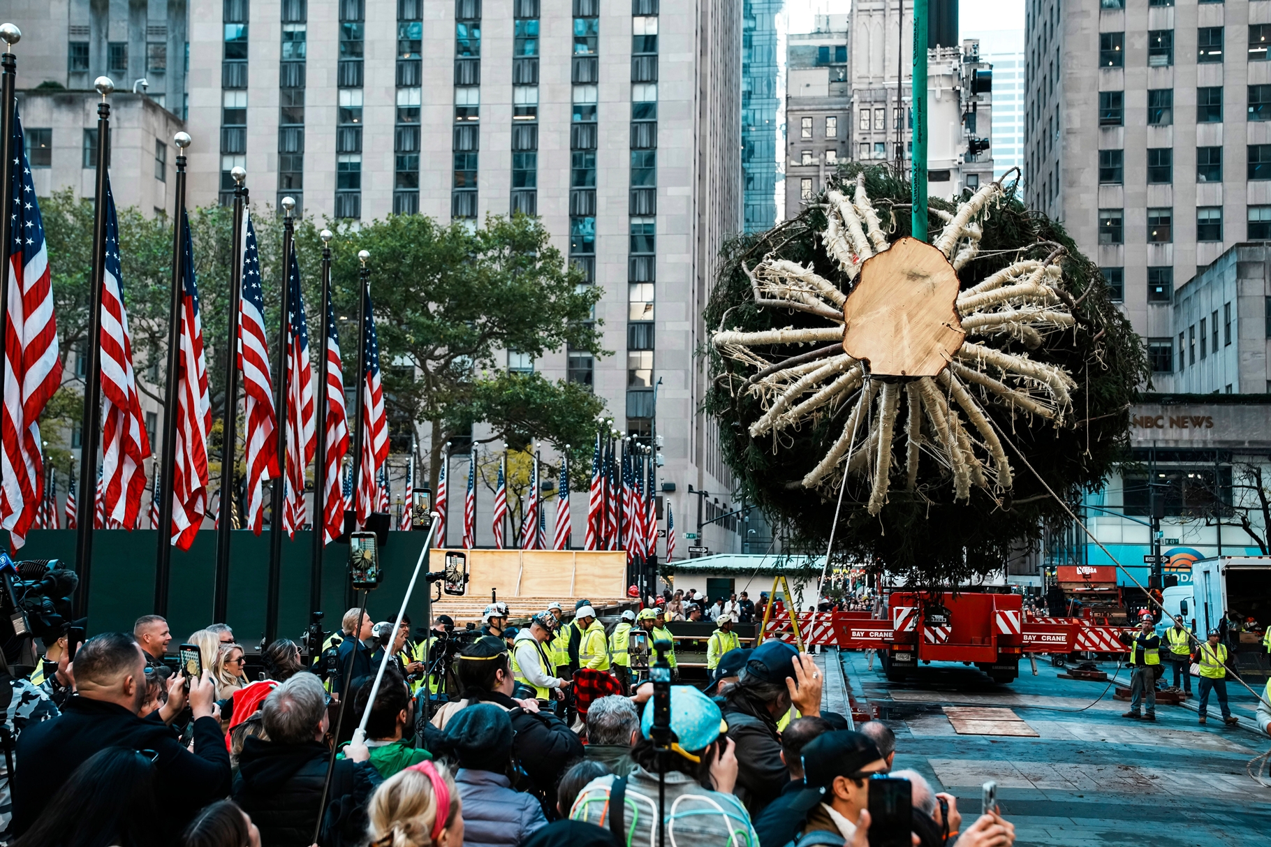 En fotos: el árbol del Rockefeller Center llegó a Manhattan y marcó el comienzo de la Navidad en Nueva York
