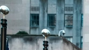 Llega el árbol de Navidad del Rockefeller Center y comienza la temporada navideña en Nueva York
