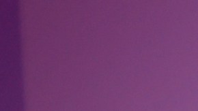 Rodner Figueroa, presentador venezolano de televisión.